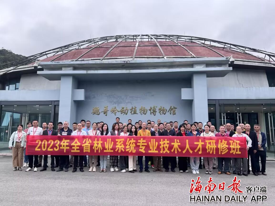 1702019496279006.jpg 1702019496279006.jpg